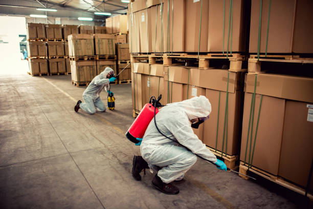 Best Pest Removal Services  in West Newton, PA