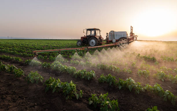 Reliable West Newton, PA Pest Control Solutions