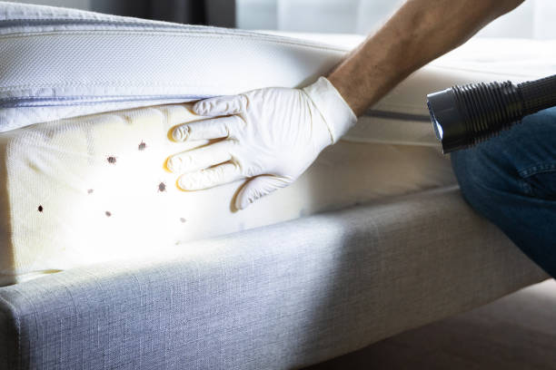 Best Best Pest Control Companies  in West Newton, PA