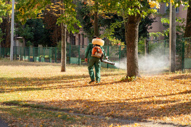 Best Termite Control Services  in West Newton, PA