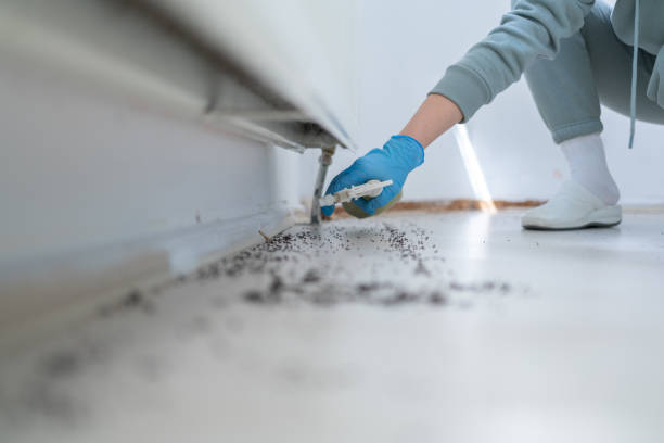 Best Commercial Pest Control Services  in West Newton, PA